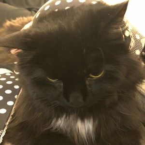 Meet your Posher, Jesse